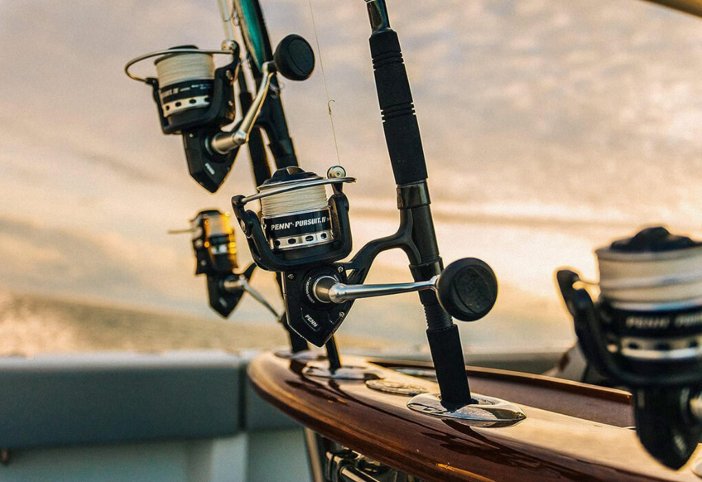 Best Saltwater Spinning Reels