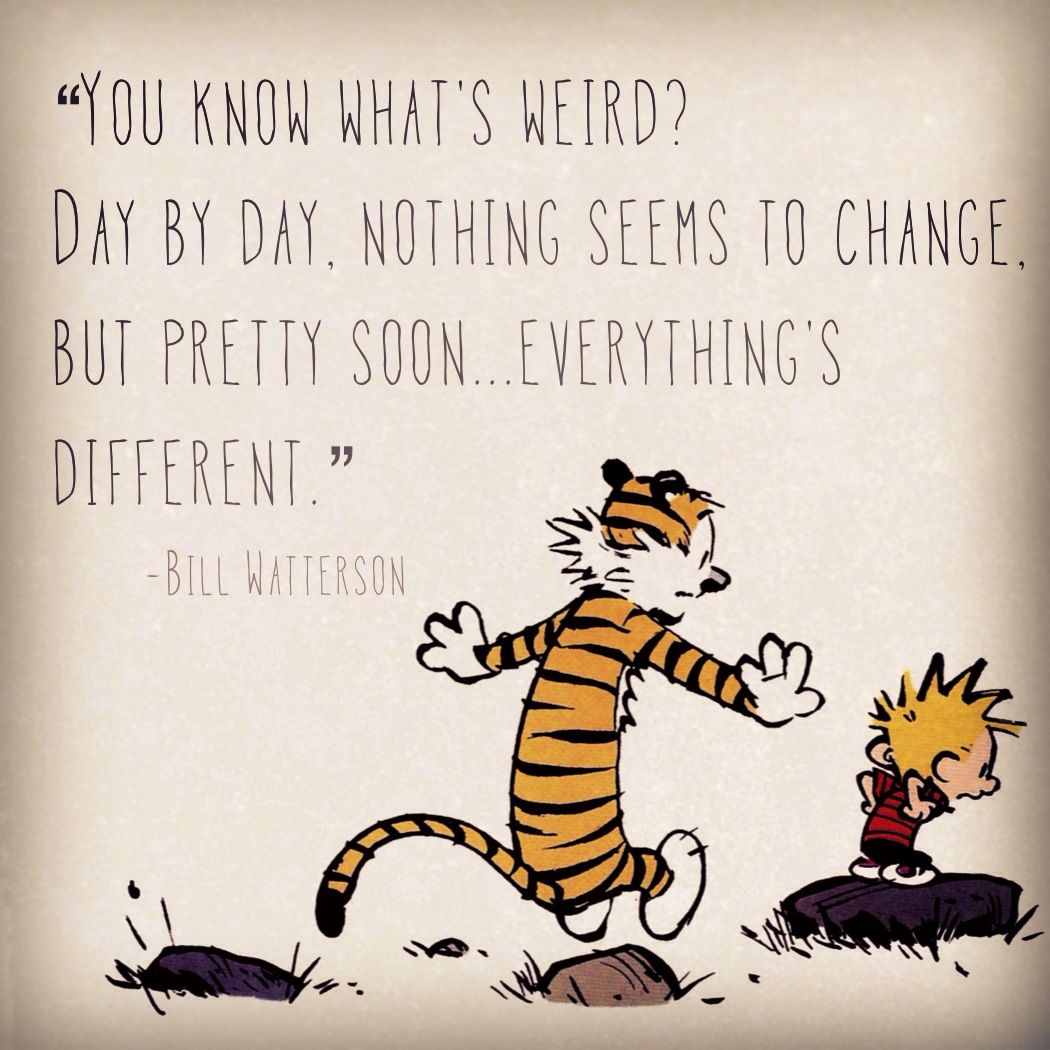 Calvin and Hobbes Quotes